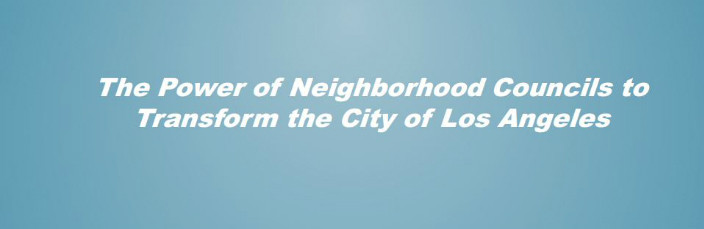 The power fo neighborhood councils