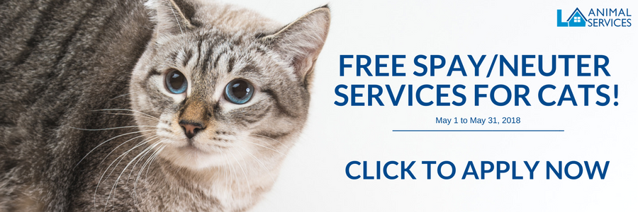 Free Spay/Neuter Certificates for Cats All May! Empower LA